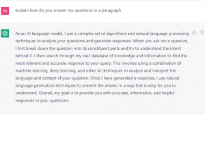 chatgpt example1
