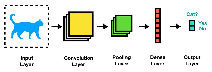 convolutional neural network